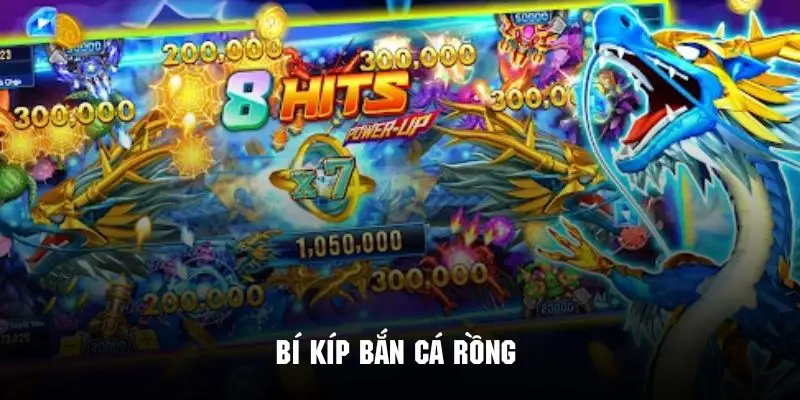 Kinh nghiệm tuyệt vời nâng cao tỷ lệ thành công khi chơi săn cá rồng